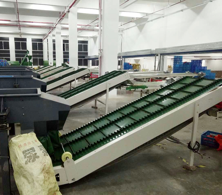 Belt conveyor (3)